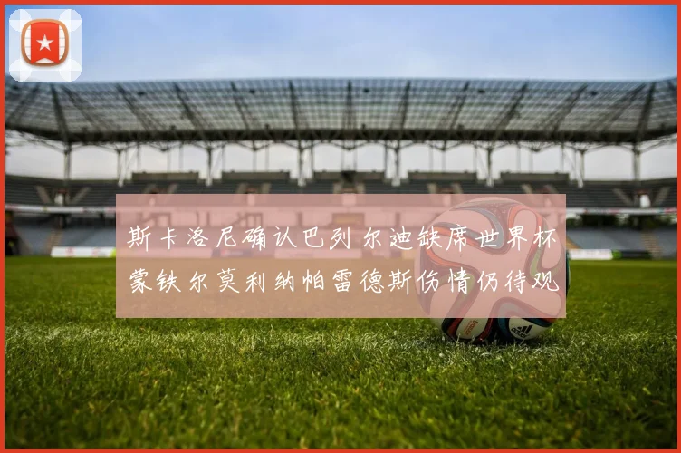 斯卡洛尼确认巴列尔迪缺席世界杯蒙铁尔莫利纳帕雷德斯伤情仍待观察